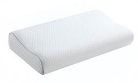 350073Q Queen Contour Foam Pillow By Coaster