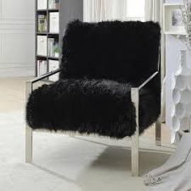 Birr by Furniture of America CM-AC6137BK Accent Chair
